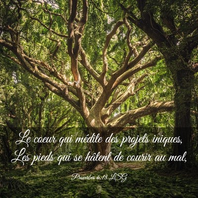 Picture 03 - Proverbes 6:18 LSG - Le coeur qui médite des projets iniques, Les - Bible Verse Picture