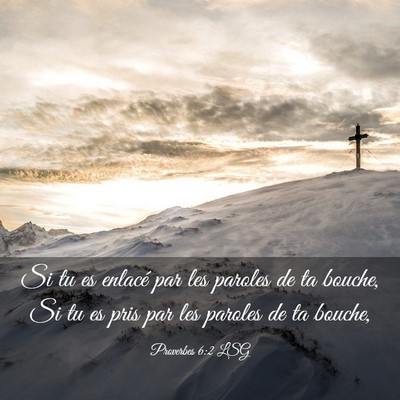 Picture 03 - Proverbes 6:2 LSG - Si tu es enlacé par les paroles de ta bouche, Si - Bible Verse Picture