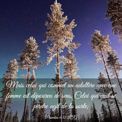 Picture 03 - Proverbes 6:32 LSG - Mais celui qui commet un adultère avec une femme - Bible Verse Picture