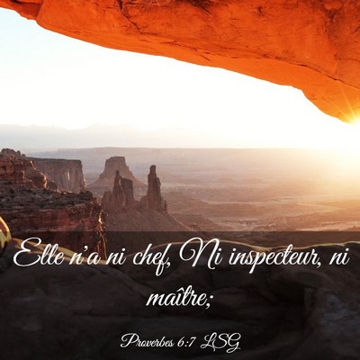 Picture 03 - Proverbes 6:7 LSG - Elle n'a ni chef, Ni inspecteur, ni - Bible Verse Picture
