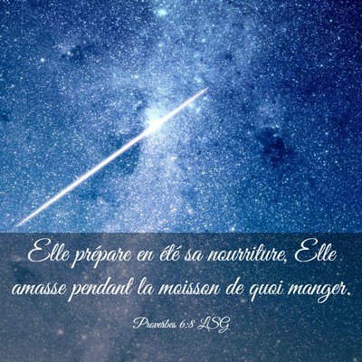 Picture 03 - Proverbes 6:8 LSG - Elle prépare en été sa nourriture, Elle amasse - Bible Verse Picture