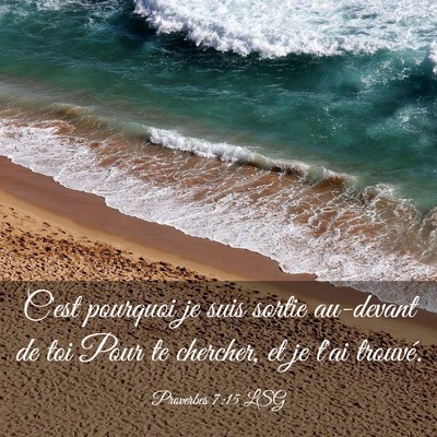 Picture 03 - Proverbes 7:15 LSG - C'est pourquoi je suis sortie au-devant de toi - Bible Verse Picture