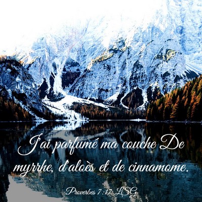 Picture 03 - Proverbes 7:17 LSG - J'ai parfumé ma couche De myrrhe, d'aloès et de - Bible Verse Picture