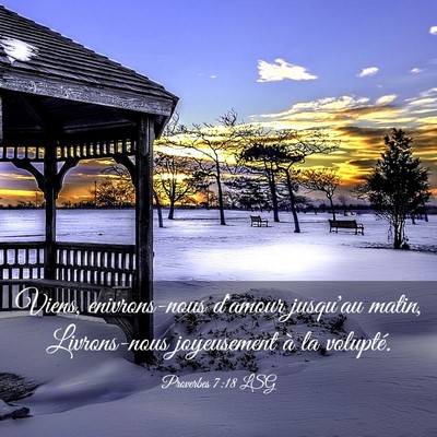 Picture 03 - Proverbes 7:18 LSG - Viens, enivrons-nous d'amour jusqu'au matin, - Bible Verse Picture