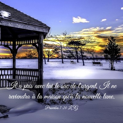 Picture 03 - Proverbes 7:20 LSG - Il a pris avec lui le sac de l'argent, Il ne - Bible Verse Picture