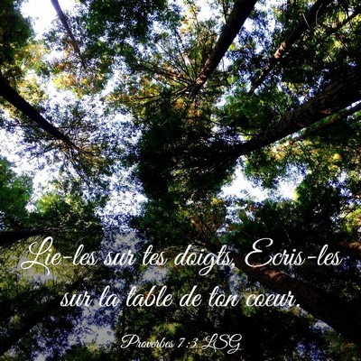 Picture 03 - Proverbes 7:3 LSG - Lie-les sur tes doigts, Ecris-les sur la table de - Bible Verse Picture