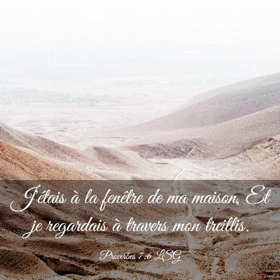 Picture 03 - Proverbes 7:6 LSG - J'étais à la fenêtre de ma maison, Et je - Bible Verse Picture