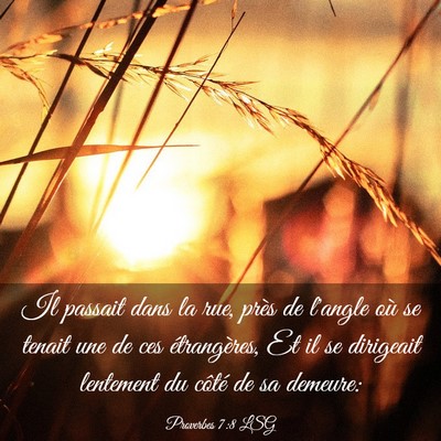 Picture 03 - Proverbes 7:8 LSG - Il passait dans la rue, près de l'angle où se - Bible Verse Picture
