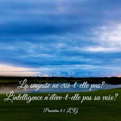 Picture 03 - Proverbes 8:1 LSG - La sagesse ne crie-t-elle pas? L'intelligence - Bible Verse Picture