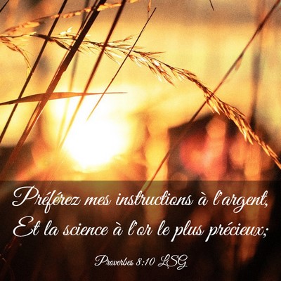 Picture 03 - Proverbes 8:10 LSG - Préférez mes instructions à l'argent, Et la - Bible Verse Picture