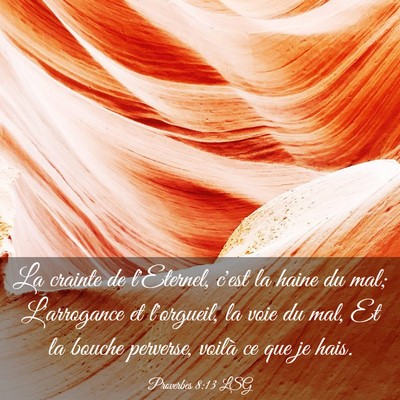 Picture 03 - Proverbes 8:13 LSG - La crainte de l'Eternel, c'est la haine du mal; - Bible Verse Picture