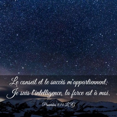 Picture 03 - Proverbes 8:14 LSG - Le conseil et le succès m'appartiennent; Je suis - Bible Verse Picture