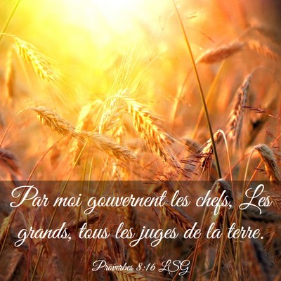 Picture 03 - Proverbes 8:16 LSG - Par moi gouvernent les chefs, Les grands, tous - Bible Verse Picture