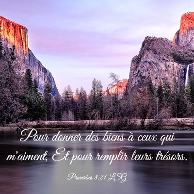 Picture 03 - Proverbes 8:21 LSG - Pour donner des biens à ceux qui m'aiment, Et - Bible Verse Picture