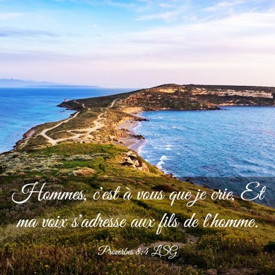 Picture 03 - Proverbes 8:4 LSG - Hommes, c'est à vous que je crie, Et ma voix - Bible Verse Picture
