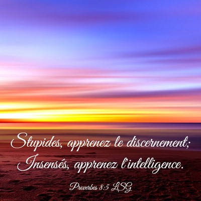 Picture 03 - Proverbes 8:5 LSG - Stupides, apprenez le discernement; Insensés, - Bible Verse Picture