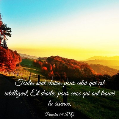 Picture 03 - Proverbes 8:9 LSG - Toutes sont claires pour celui qui est - Bible Verse Picture