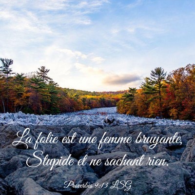 Picture 03 - Proverbes 9:13 LSG - La folie est une femme bruyante, Stupide et ne - Bible Verse Picture