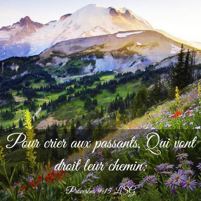 Picture 03 - Proverbes 9:15 LSG - Pour crier aux passants, Qui vont droit leur - Bible Verse Picture