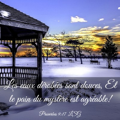Picture 03 - Proverbes 9:17 LSG - Les eaux dérobées sont douces, Et le pain du - Bible Verse Picture