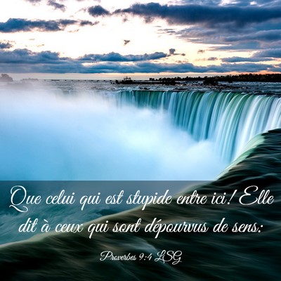 Picture 03 - Proverbes 9:4 LSG - Que celui qui est stupide entre ici! Elle dit à - Bible Verse Picture
