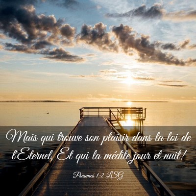 Picture 03 - Psaumes 1:2 LSG - Mais qui trouve son plaisir dans la loi de - Bible Verse Picture