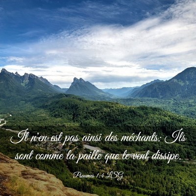 Picture 03 - Psaumes 1:4 LSG - Il n'en est pas ainsi des méchants: Ils sont - Bible Verse Picture