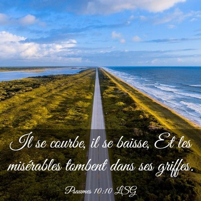 Picture 03 - Psaumes 10:10 LSG - Il se courbe, il se baisse, Et les misérables - Bible Verse Picture