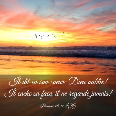 Picture 03 - Psaumes 10:11 LSG - Il dit en son coeur: Dieu oublie! Il cache sa - Bible Verse Picture