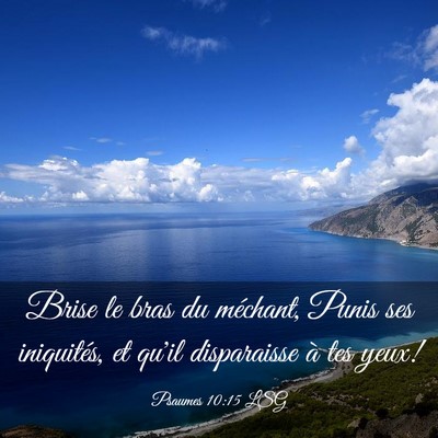 Picture 03 - Psaumes 10:15 LSG - Brise le bras du méchant, Punis ses iniquités, - Bible Verse Picture