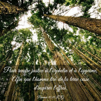 Picture 03 - Psaumes 10:18 LSG - Pour rendre justice à l'orphelin et à - Bible Verse Picture