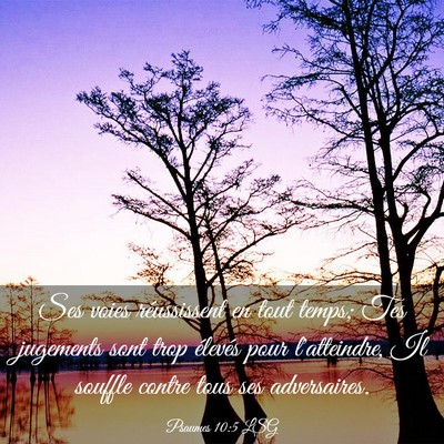 Picture 03 - Psaumes 10:5 LSG - Ses voies réussissent en tout temps; Tes - Bible Verse Picture