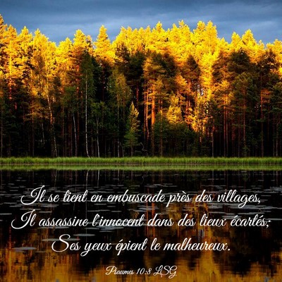 Picture 03 - Psaumes 10:8 LSG - Il se tient en embuscade près des villages, Il - Bible Verse Picture