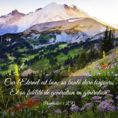Picture 03 - Psaumes 100:5 LSG - Car l'Eternel est bon; sa bonté dure toujours, - Bible Verse Picture
