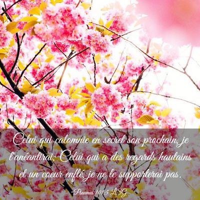 Picture 03 - Psaumes 101:5 LSG - Celui qui calomnie en secret son prochain, je - Bible Verse Picture