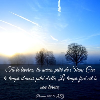 Picture 03 - Psaumes 102:13 LSG - Tu te lèveras, tu auras pitié de Sion; Car le - Bible Verse Picture