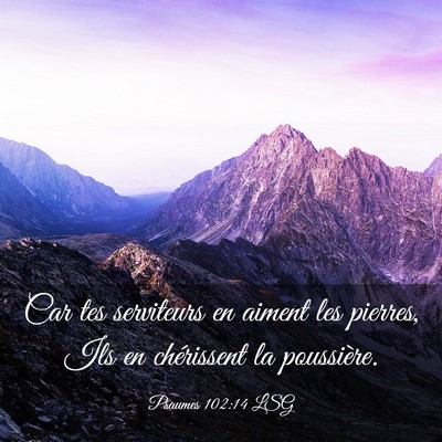 Picture 03 - Psaumes 102:14 LSG - Car tes serviteurs en aiment les pierres, Ils en - Bible Verse Picture