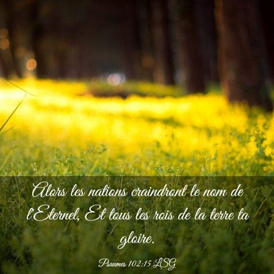 Picture 03 - Psaumes 102:15 LSG - Alors les nations craindront le nom de l'Eternel, - Bible Verse Picture