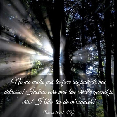 Picture 03 - Psaumes 102:2 LSG - Ne me cache pas ta face au jour de ma détresse! - Bible Verse Picture
