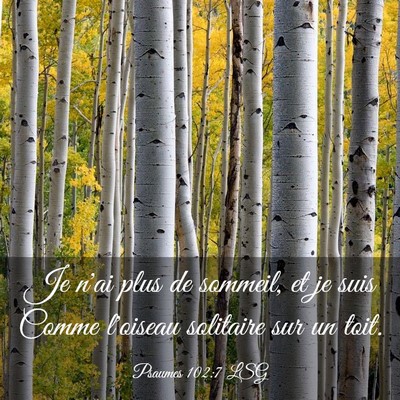 Picture 03 - Psaumes 102:7 LSG - Je n'ai plus de sommeil, et je suis Comme - Bible Verse Picture