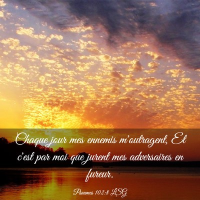 Picture 03 - Psaumes 102:8 LSG - Chaque jour mes ennemis m'outragent, Et c'est par - Bible Verse Picture