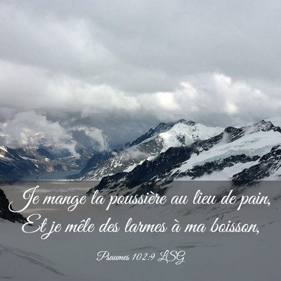 Picture 03 - Psaumes 102:9 LSG - Je mange la poussière au lieu de pain, Et je - Bible Verse Picture