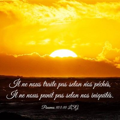 Picture 03 - Psaumes 103:10 LSG - Il ne nous traite pas selon nos péchés, Il ne - Bible Verse Picture