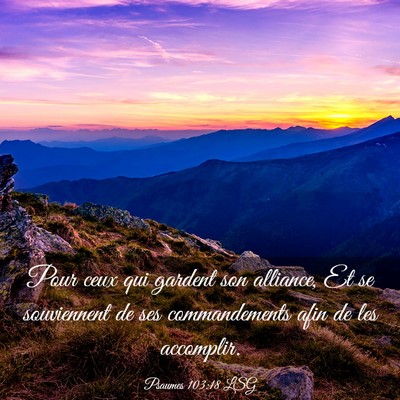 Picture 03 - Psaumes 103:18 LSG - Pour ceux qui gardent son alliance, Et se - Bible Verse Picture