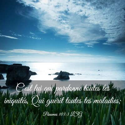 Picture 03 - Psaumes 103:3 LSG - C'est lui qui pardonne toutes tes iniquités, Qui - Bible Verse Picture