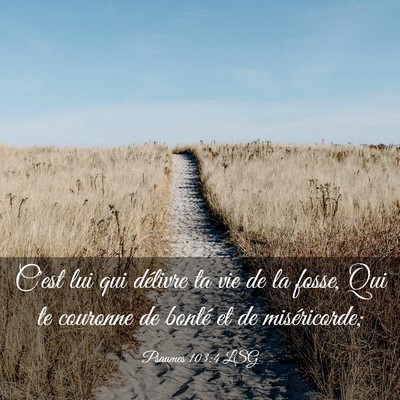 Picture 03 - Psaumes 103:4 LSG - C'est lui qui délivre ta vie de la fosse, Qui te - Bible Verse Picture
