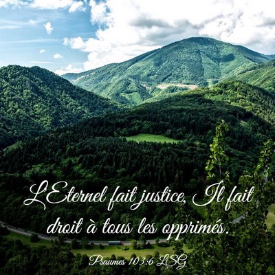Picture 03 - Psaumes 103:6 LSG - L'Eternel fait justice, Il fait droit à tous les - Bible Verse Picture