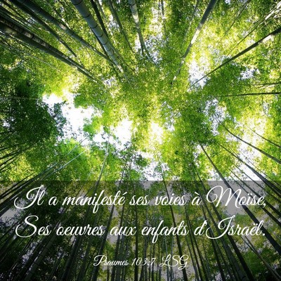 Picture 03 - Psaumes 103:7 LSG - Il a manifesté ses voies à Moïse, Ses oeuvres - Bible Verse Picture