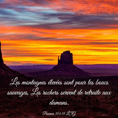 Picture 03 - Psaumes 104:18 LSG - Les montagnes élevées sont pour les boucs - Bible Verse Picture