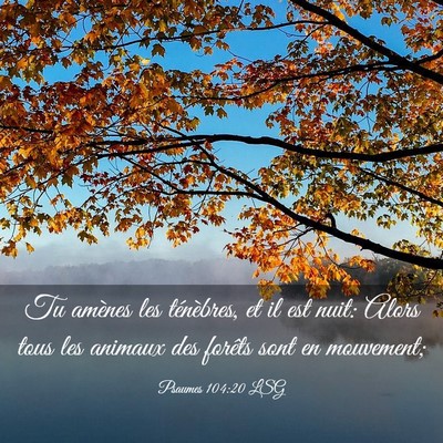 Picture 03 - Psaumes 104:20 LSG - Tu amènes les ténèbres, et il est nuit: Alors - Bible Verse Picture